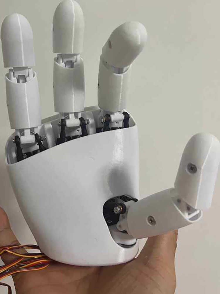 AmazingHand 8 DOF Robot Hand 3 - 3D Printing Robot recensie en prijs